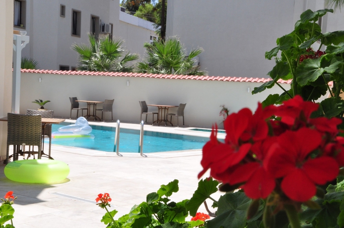 Imagen de la piscina del Olivias Group Hotel. Foto 15