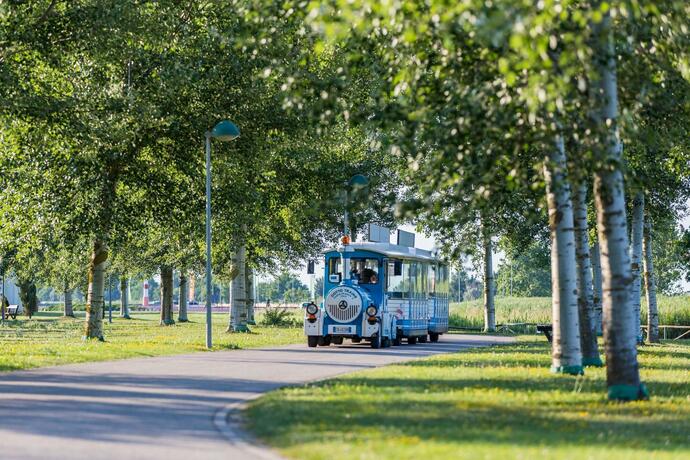 Imagen general del Olmi Lido Altanea. Foto 21