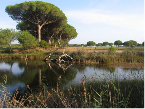 Imagen de la habitación del Oltremare Appartamenti. Foto 6