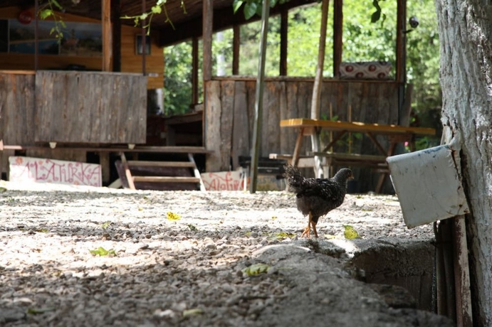 Imagen de los exteriores del Olympos Alaturka Pansiyon. Foto 18