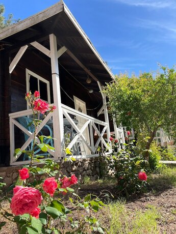Imagen de la habitación del Olympos Angels Garden. Foto 18