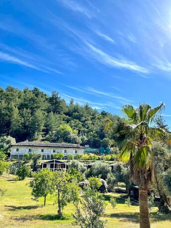 Imagen general del Olympos Angels Garden. Foto 12