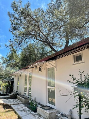 Imagen de la habitación del Olympos Angels Garden. Foto 20