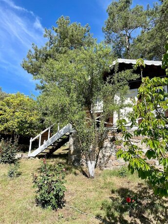 Imagen general del Olympos Angels Garden. Foto 13