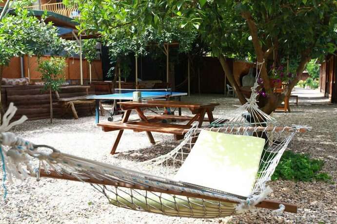 Imagen general del Olympos Doga Pansiyon. Foto 5