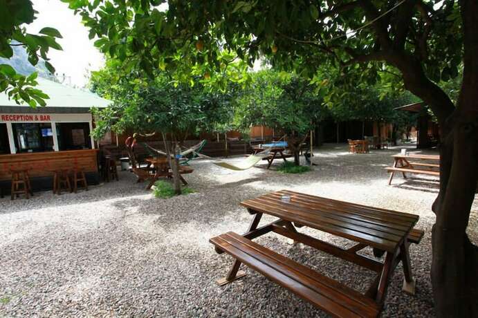 Imagen general del Olympos Doga Pansiyon. Foto 13