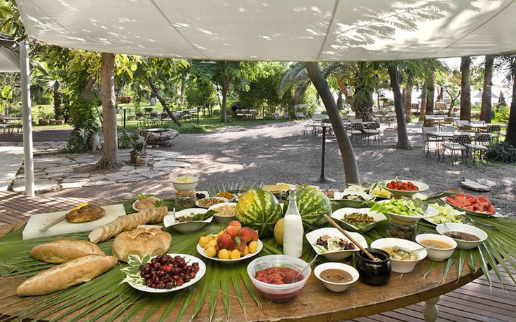 Imagen de los exteriores del Olympos Lodge. Foto 14