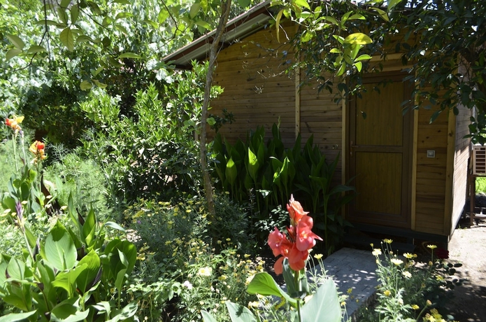 Imagen de la habitación del Olympos Mercan Bungalow. Foto 9