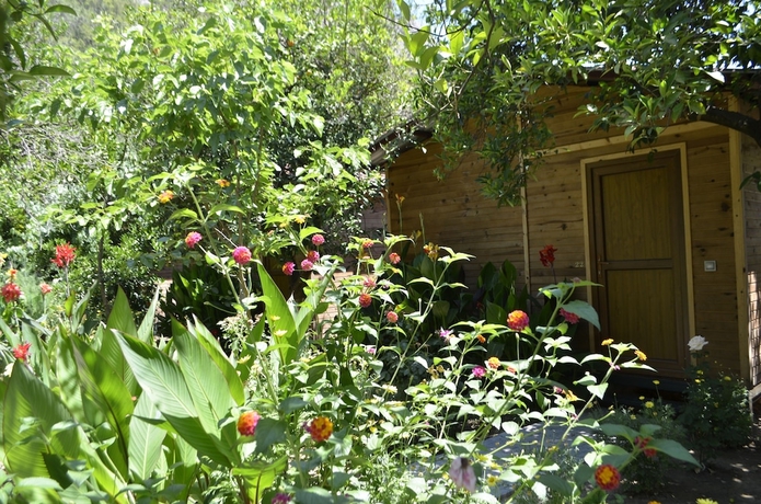 Imagen de la habitación del Olympos Mercan Bungalow. Foto 10