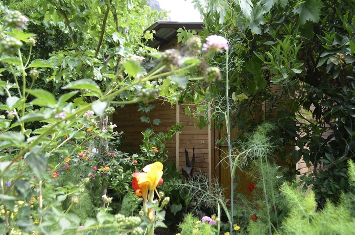Imagen de la habitación del Olympos Mercan Bungalow. Foto 12