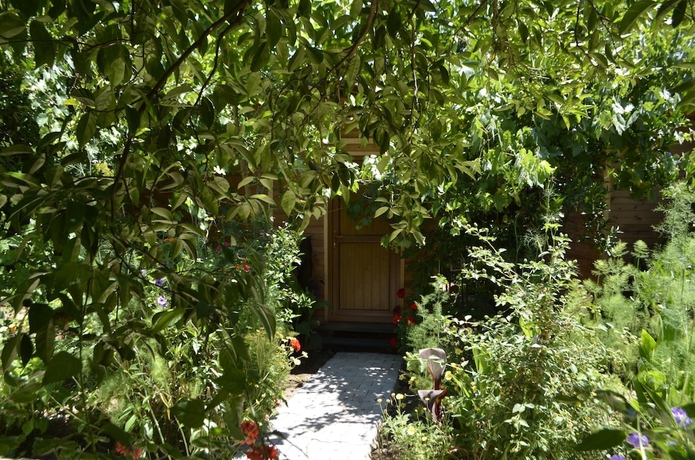 Imagen de la habitación del Olympos Mercan Bungalow. Foto 13