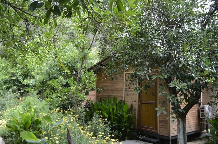 Imagen de la habitación del Olympos Mercan Bungalow. Foto 14