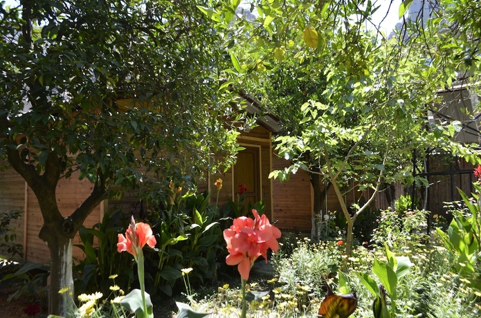 Imagen de la habitación del Olympos Mercan Bungalow. Foto 15