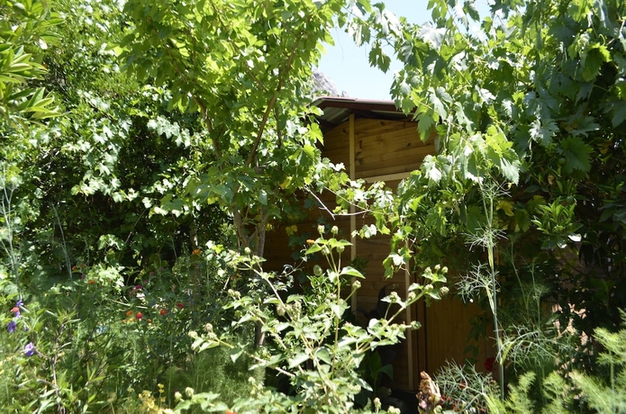 Imagen de la habitación del Olympos Mercan Bungalow. Foto 16