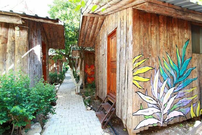 Imagen general del Olympos Ruya Pansiyon. Foto 5