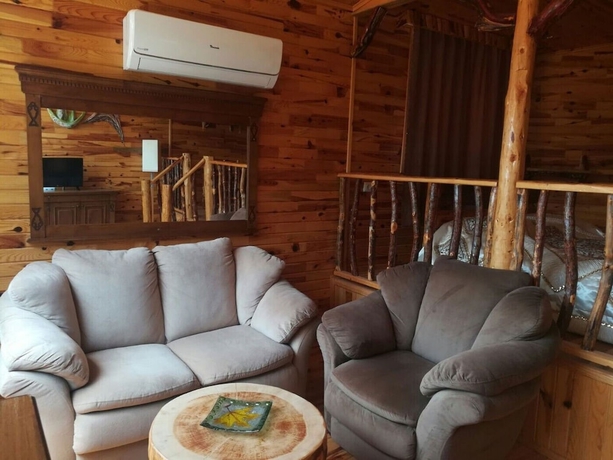 Imagen de la habitación del Olympos Tanrılar Kul&uuml;b&uuml;. Foto 5