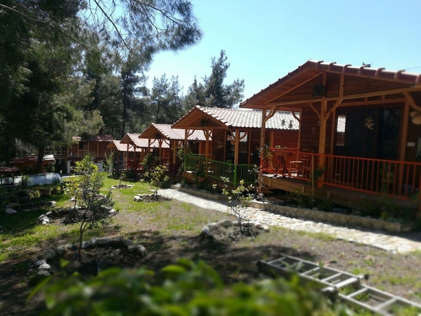 Imagen general del Olympos Tanrılar Kulübü. Foto 1