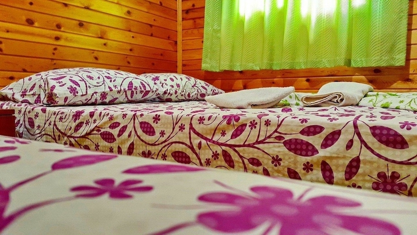 Imagen de la habitación del Olympos Tatilya Pansiyon. Foto 11