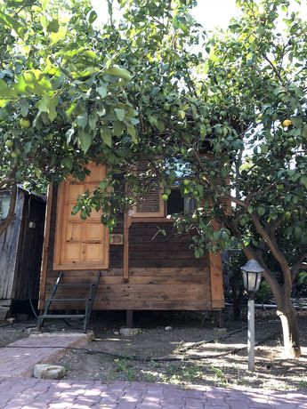 Imagen de la habitación del Olympos Varuna Pension. Foto 10