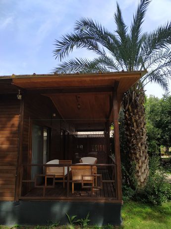 Imagen de la habitación del Olympos Yavuz Hotel, Kemer. Foto 11