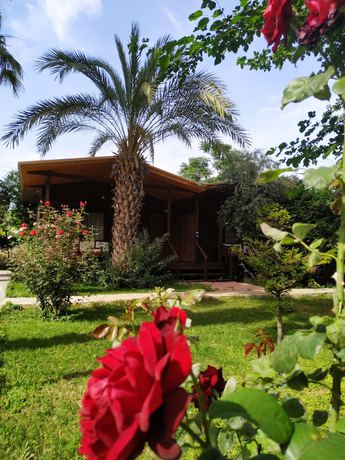 Imagen de la habitación del Olympos Yavuz Hotel, Kemer. Foto 15
