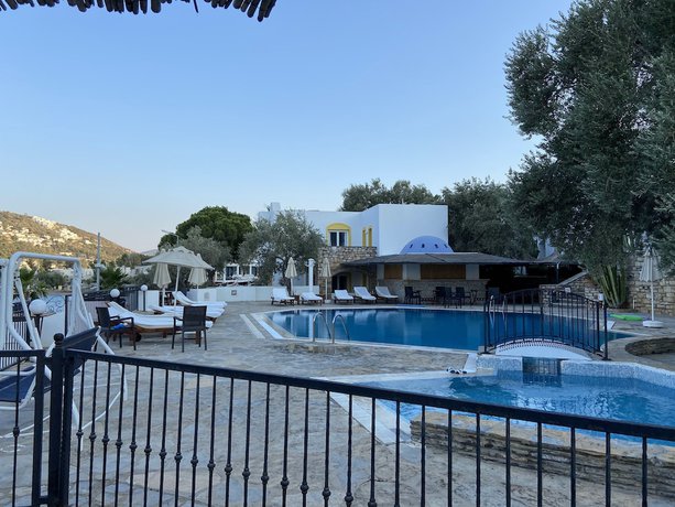 Imagen de la piscina del Omar Hotel and Suites. Foto 18