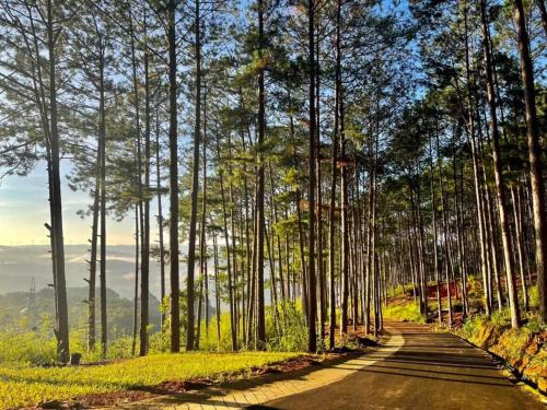 Imagen general del Omirita Resort Dalat. Foto 2