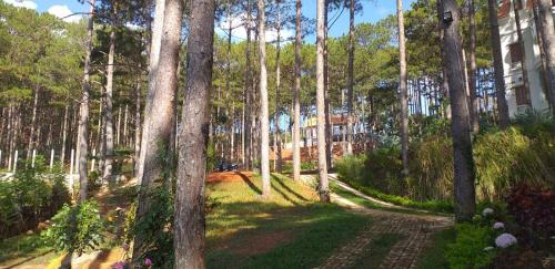 Imagen general del Omirita Resort Dalat. Foto 3