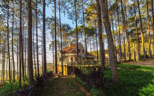 Imagen general del Omirita Resort Dalat. Foto 12