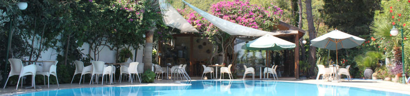 Imagen de la piscina del On Hotel. Foto 13