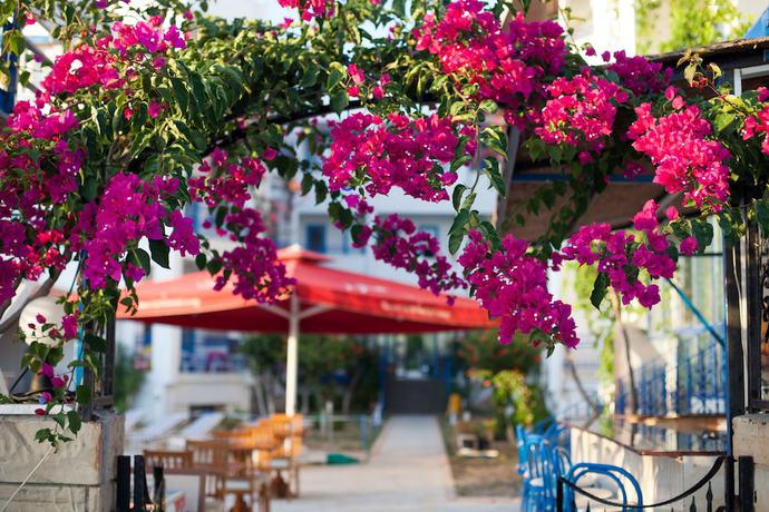 Imagen de los exteriores del One More Day Hotel, Bodrum. Foto 13