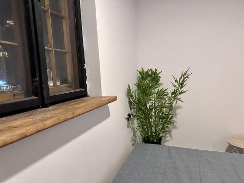 Imagen general del One World Hostel Gdansk. Foto 7