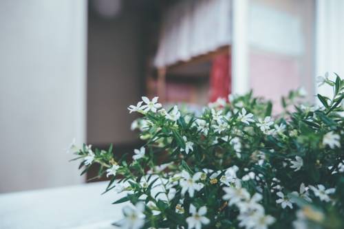 Imagen de la habitación del Oportocean. Foto 13