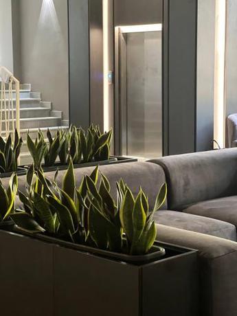 Imagen general del Optima Collection Chernivtsi. Foto 11