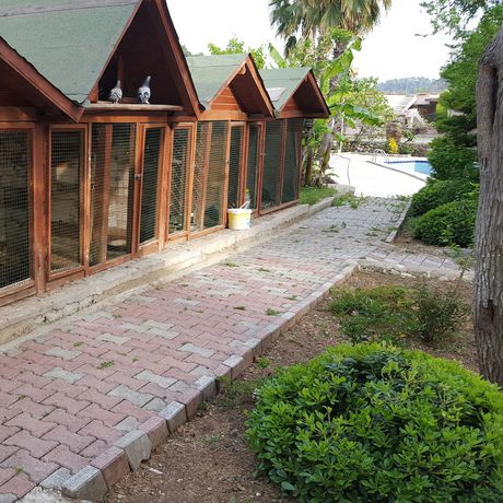 Imagen de los exteriores del Oranj Ranch Hotel. Foto 14