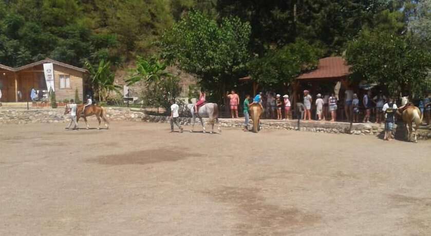 Imagen general del Oranj Ranch Hotel. Foto 3