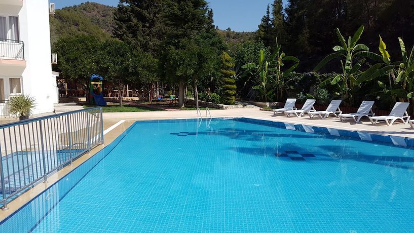 Imagen de la piscina del Oranj Ranch Hotel. Foto 18