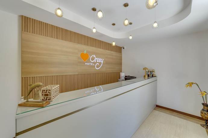 Imagen de los interiores del Orcey Hotel. Foto 17