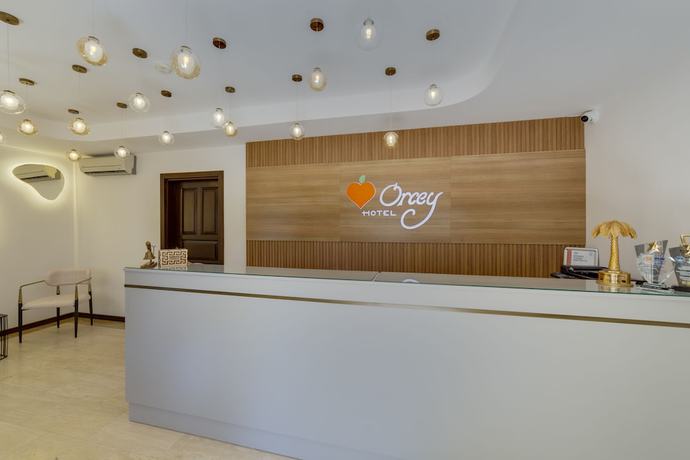 Imagen de los interiores del Orcey Hotel. Foto 19