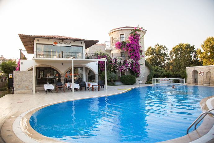 Imagen de la piscina del Orcey Hotel. Foto 20