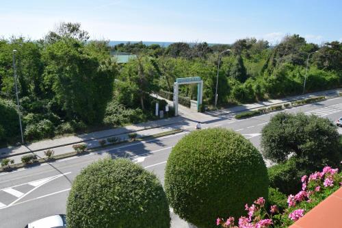 Imagen general del Orchidea Marina. Foto 5
