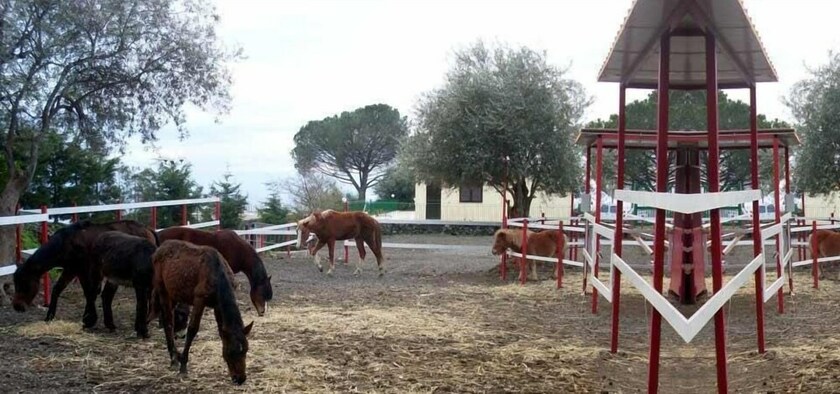 Imagen general del Ore Felici Park. Foto 4
