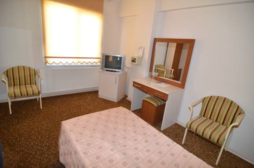 Imagen de la habitación del Oreko Express. Foto 4