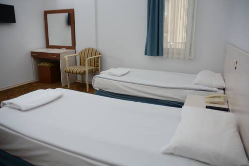 Imagen de la habitación del Oreko Express. Foto 5