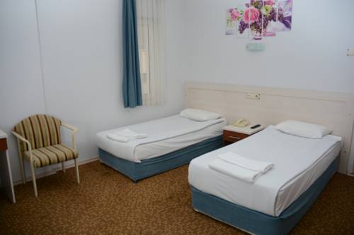 Imagen de la habitación del Oreko Express. Foto 6