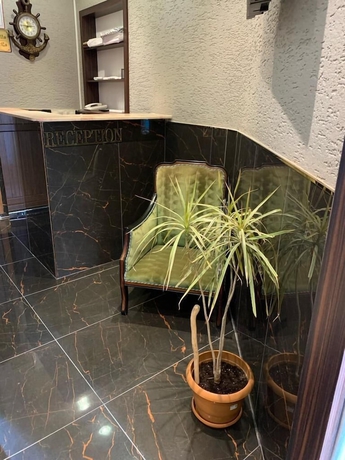 Imagen de los interiores del Oren Hotel. Foto 16
