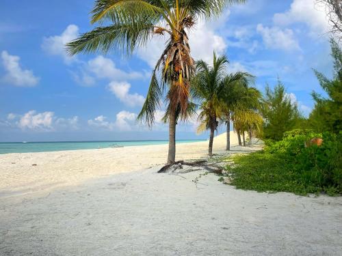 Imagen general del Oren Hotel Maldives. Foto 3