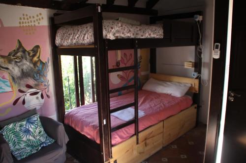 Imagen de la habitación del Oripando Hostel. Foto 16