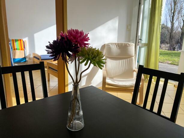 Imagen general del Ośrodek Wczasowy HELIOS. Foto 36