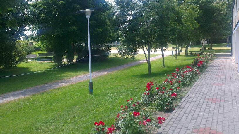 Imagen general del Ośrodek Wczasowy HELIOS. Foto 57